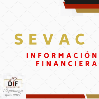 SEVAC INFORMACION FINANCIERA
