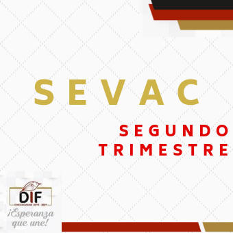 SEVAC SEGUNDO TRIMESTRE